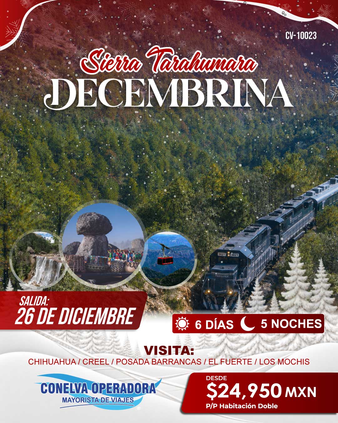 Sierra Tarahumara Decembrina mayorista